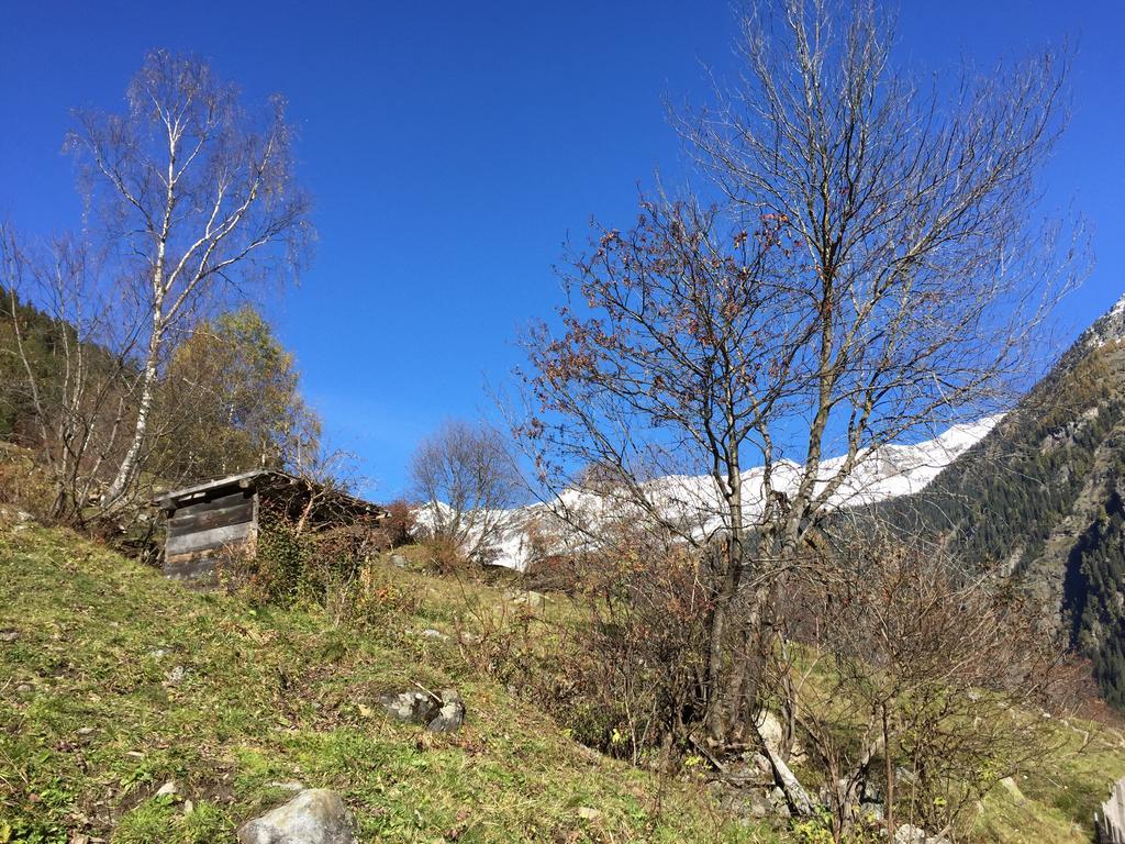 Appart Kalsberger Kaunertal Room photo